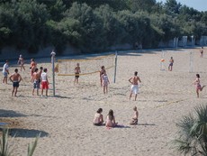 Beachvolleyball.JPG